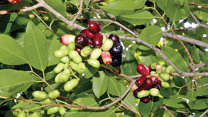 நீங்கள் கேட்டவை