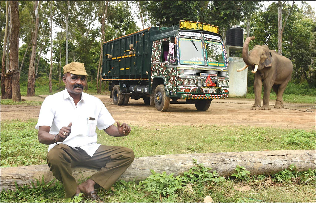 ஆறுச்சாமி, யானை