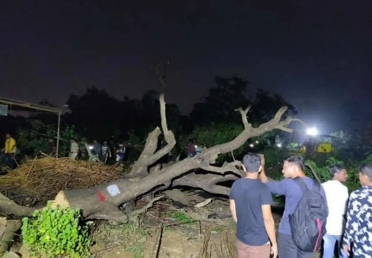 Aarey colony