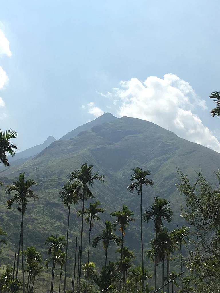Kurangani Hill