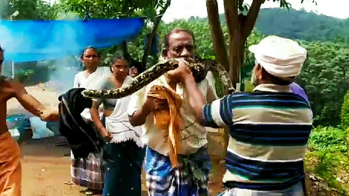 கழுத்தில் சுற்றிய மலைப் பாம்பு