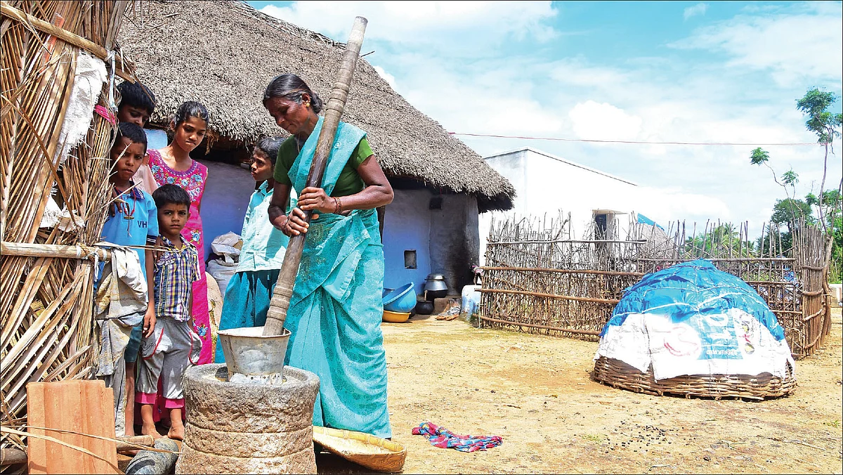 சாமை குத்தும் கௌரி