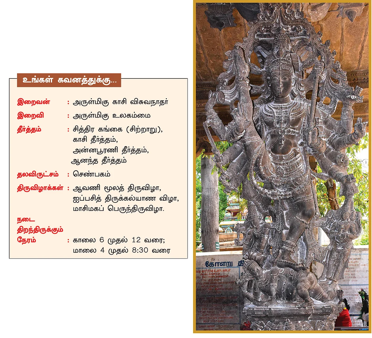 ‘ரிக்வேத பெருமான்’ தென்காசி விசுவநாதர்!