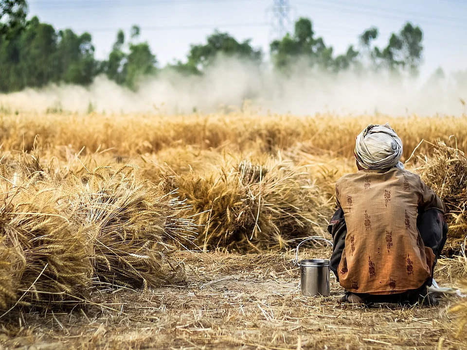 #WorldFoodDay