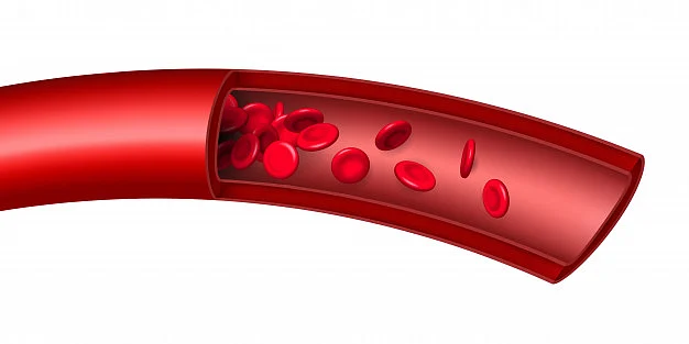 Blood