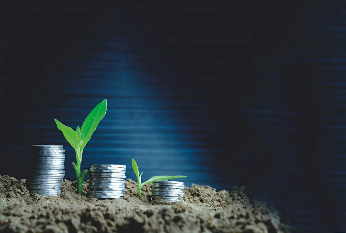 Smart Investor In 100 Days