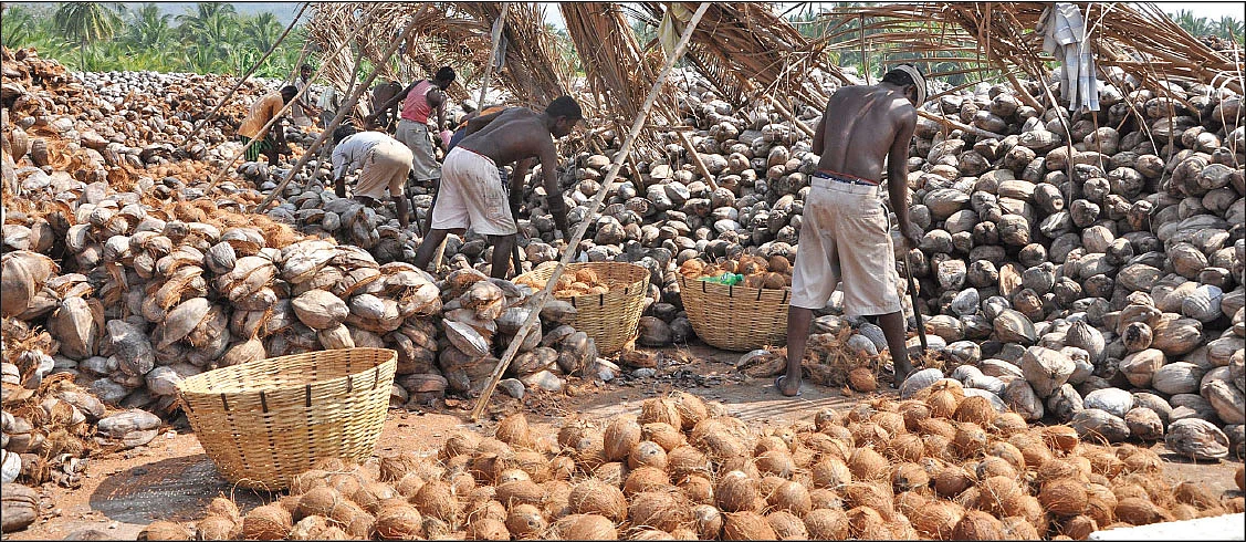 விலை முன்னறிவிப்பு