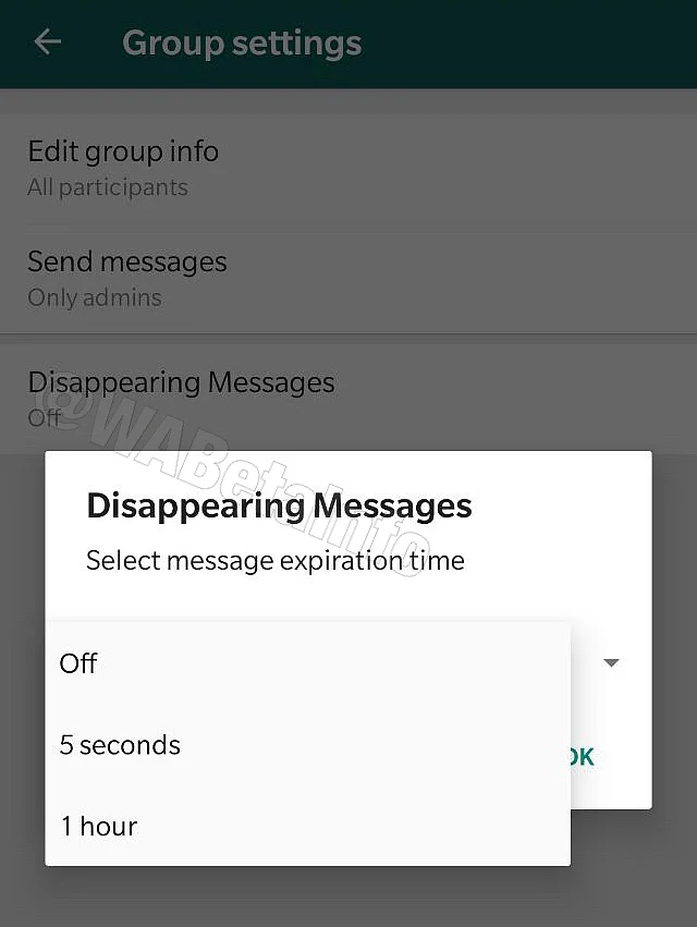Self Destructing Message