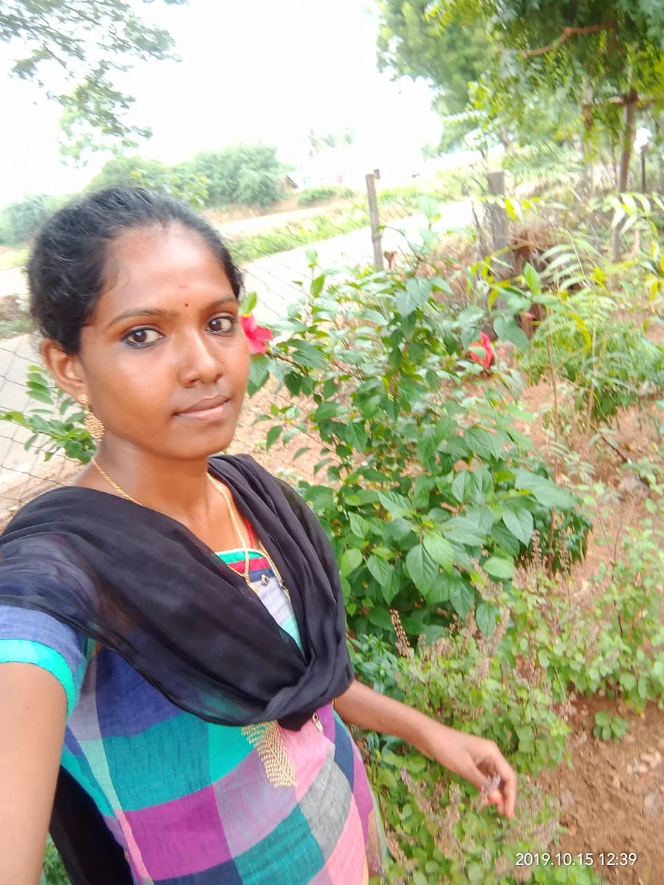 குறிஞ்சி மலர்