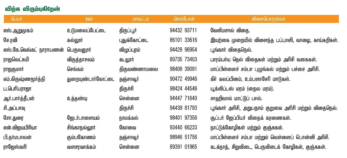 பசுமை சந்தை