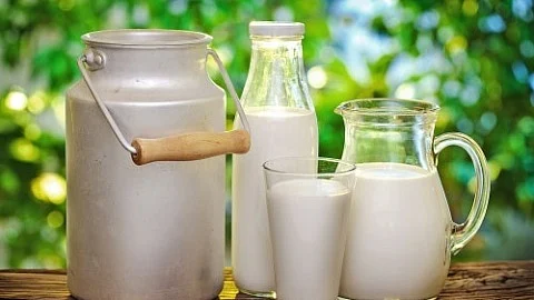 பால்