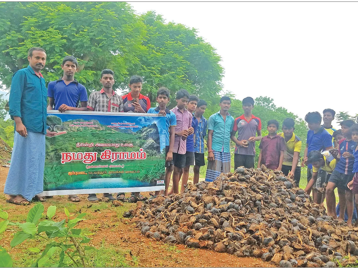 ஒரே நாள்... 250 அமைப்புகள்...
25 லட்சம் பனை விதைகள்...