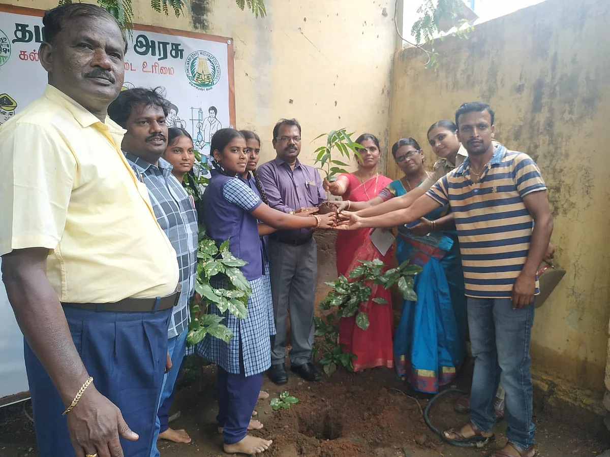 விருட்சம் இந்தியா அறக்கட்டளை செயல்பாடு
