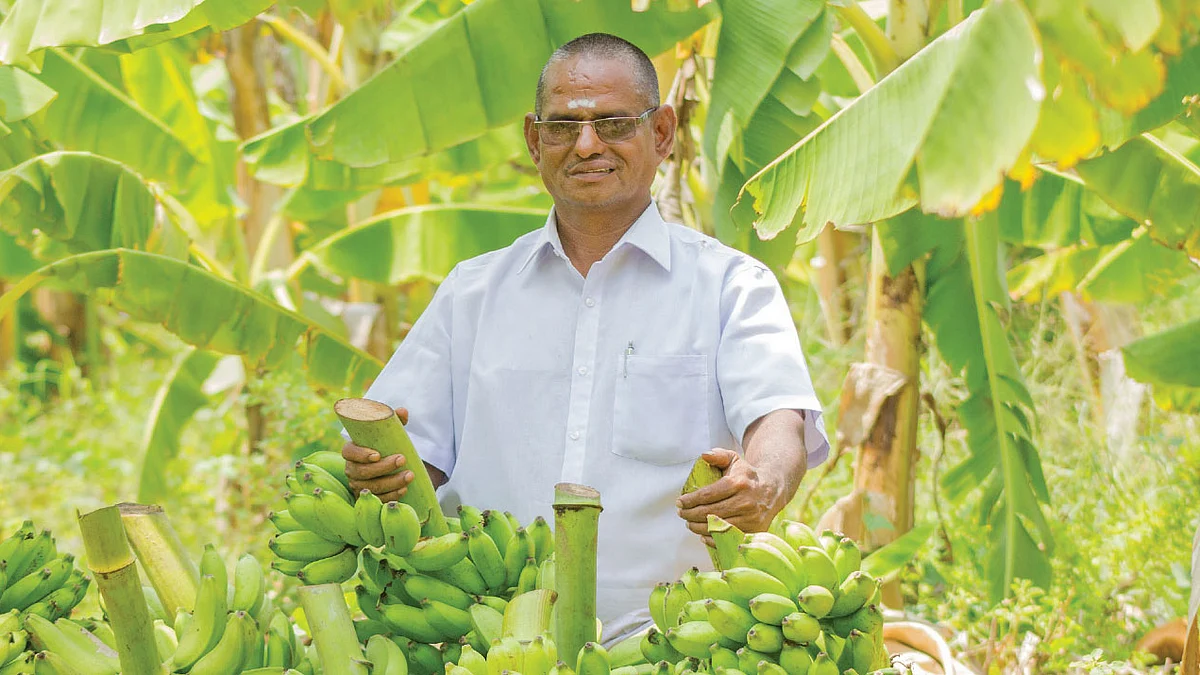 வாழைத்தார்களுடன் பிரதாபன்
