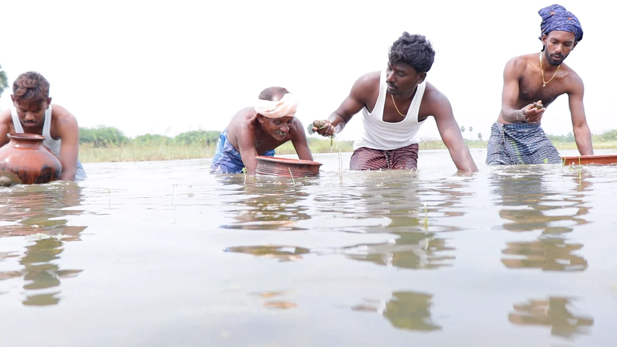 விலேஜ் குக்கிங் சேனல் குழு