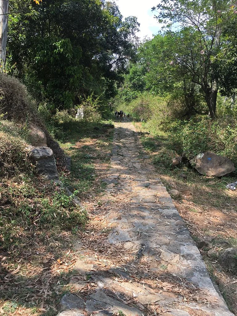 Kurangani to TopStation root