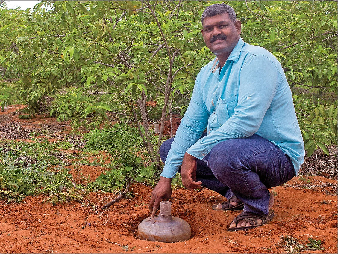தண்ணீர் கேன், குளுக்கோஸ் பாட்டிலில் பாசனம்! - நீரைச் சேமிக்கும் புதிய முயற்சி