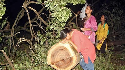 ஆரே போராட்டம்