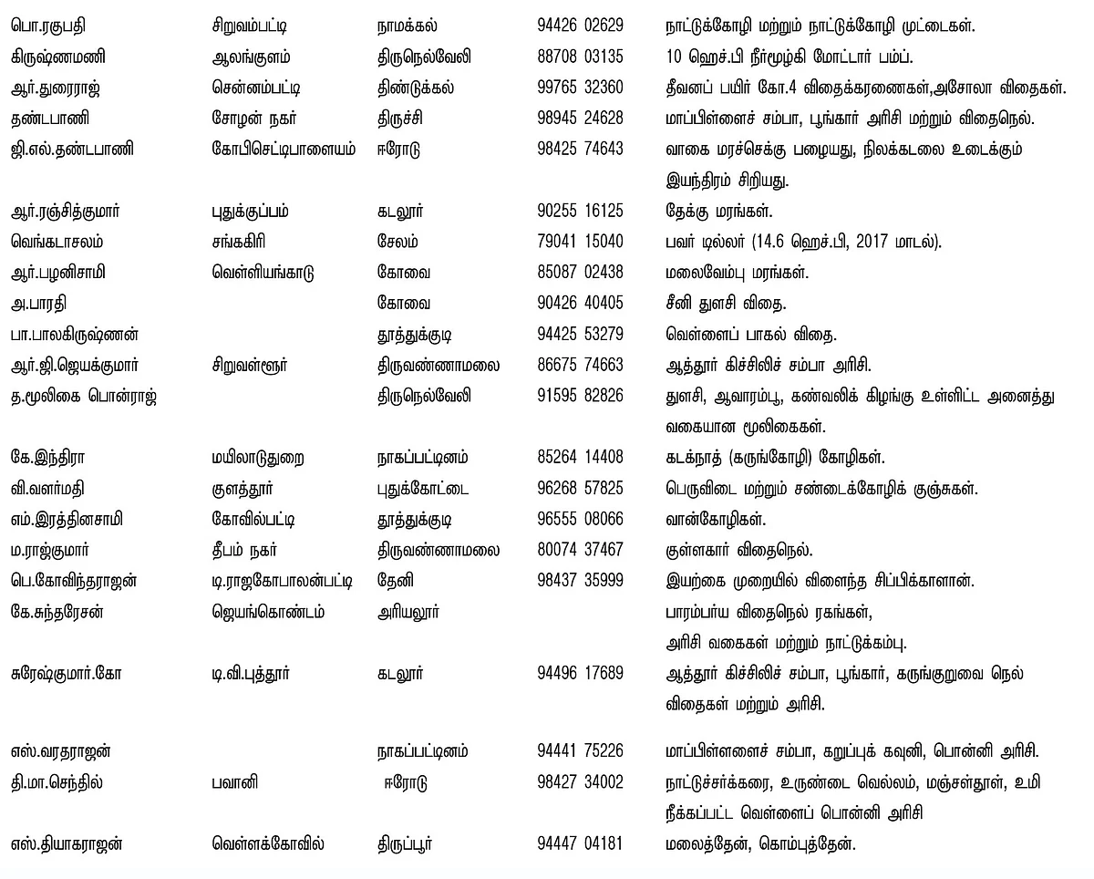 பசுமை சந்தை