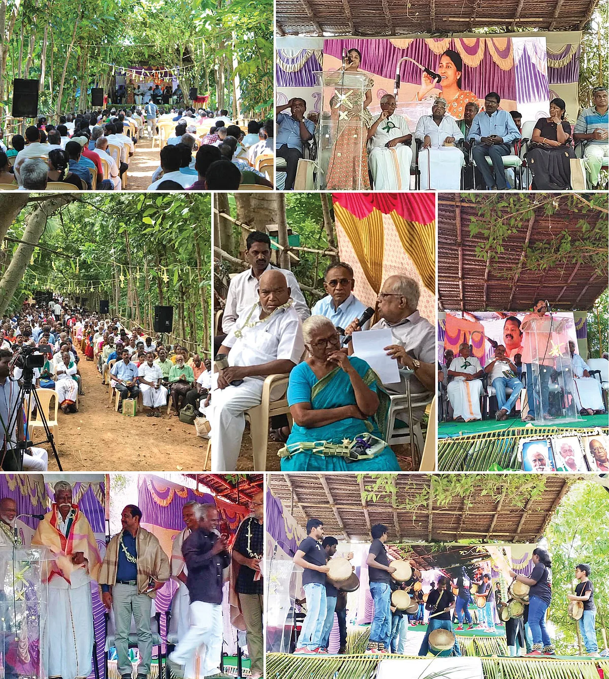 விவசாயிகளும் கோடீஸ்வரர் ஆகலாம்! - இது மரப்பயிர்களின் பொற்காலம்!