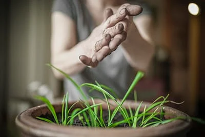 Representational Image