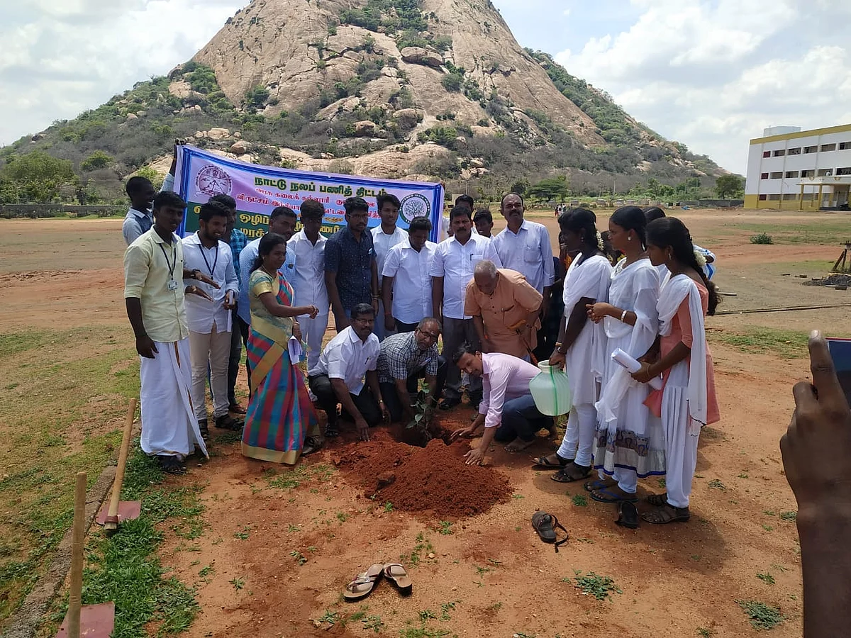 விருட்சம் இந்தியா அறக்கட்டளை செயல்பாடு