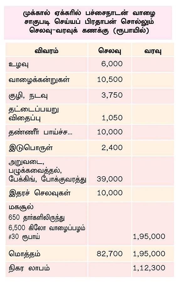 75 சென்ட், ரூ. 1,95,000 வருமானம்... இயற்கையில் செழிக்கும் வாழை...