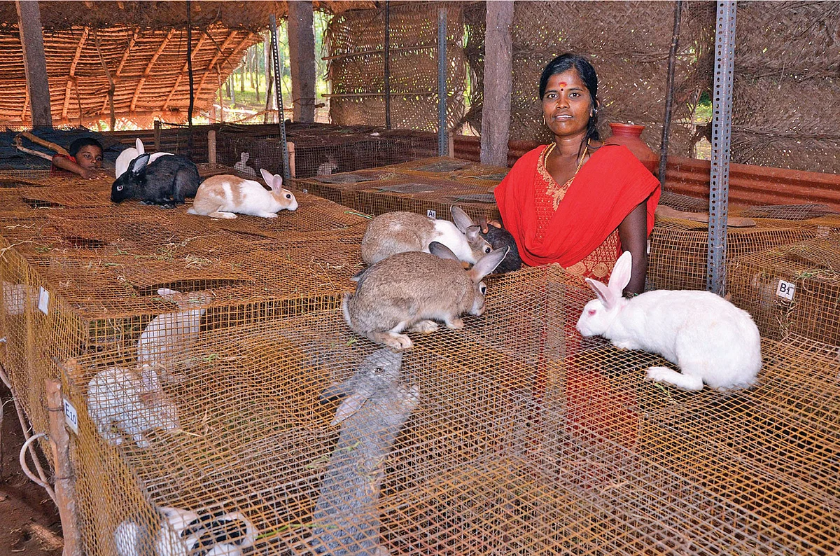 கூரைக் கொட்டகைக்குள் கூண்டுகளில் வளரும் முயல்களுடன் சத்யா