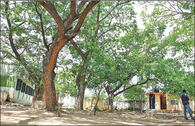 பள்ளிக்குள்