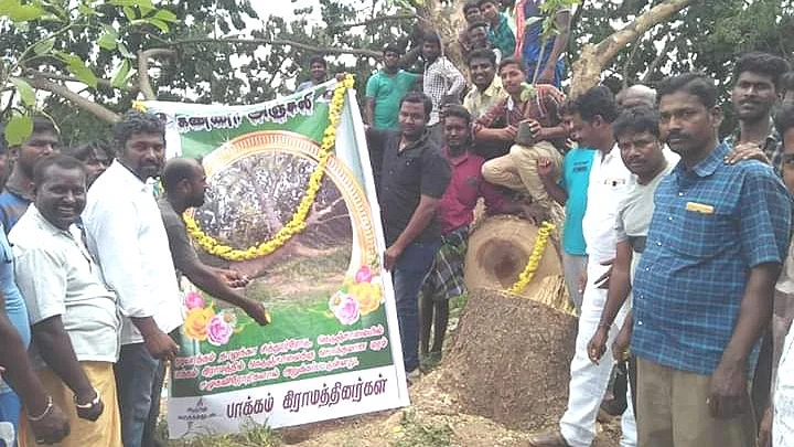மரத்துக்கு கண்ணீர் அஞ்சலி