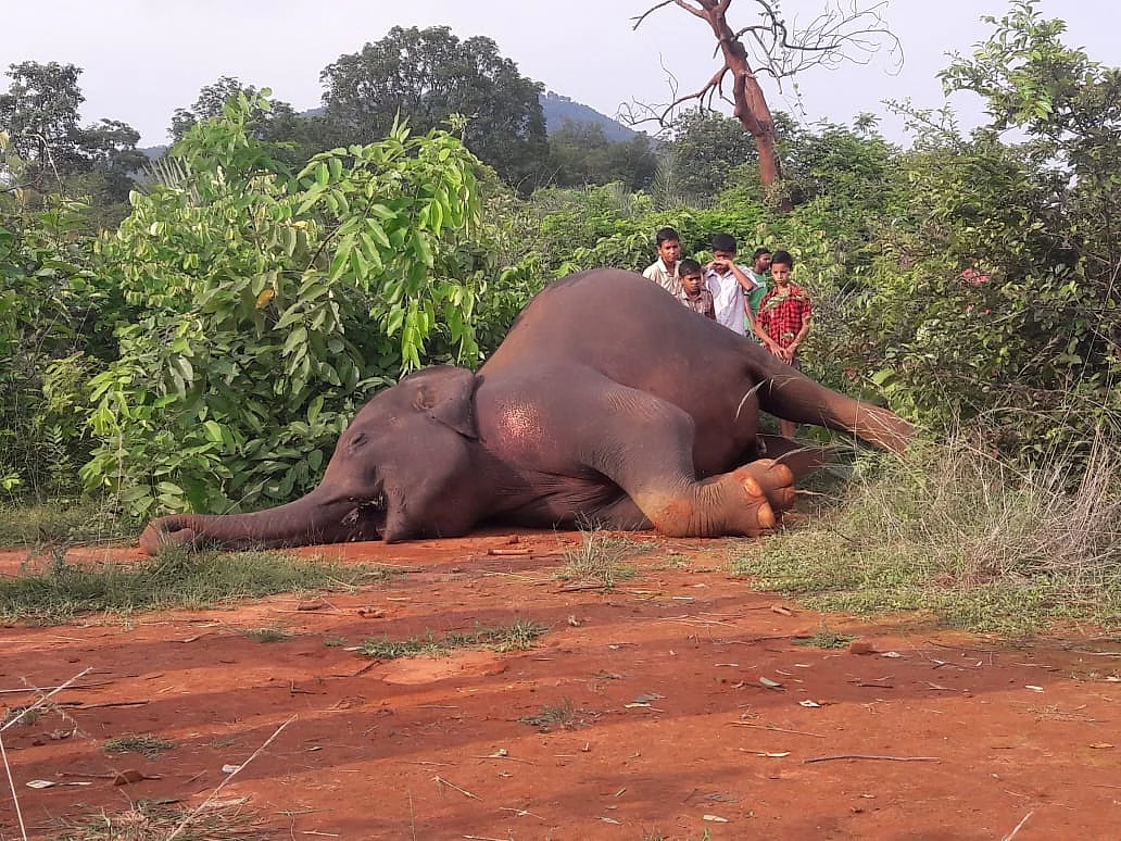 மரணம்