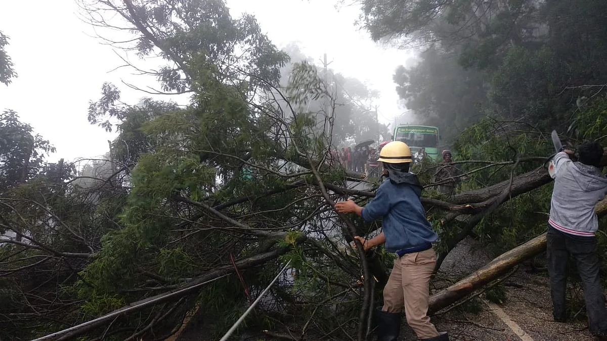 Nilgiri heavy rain