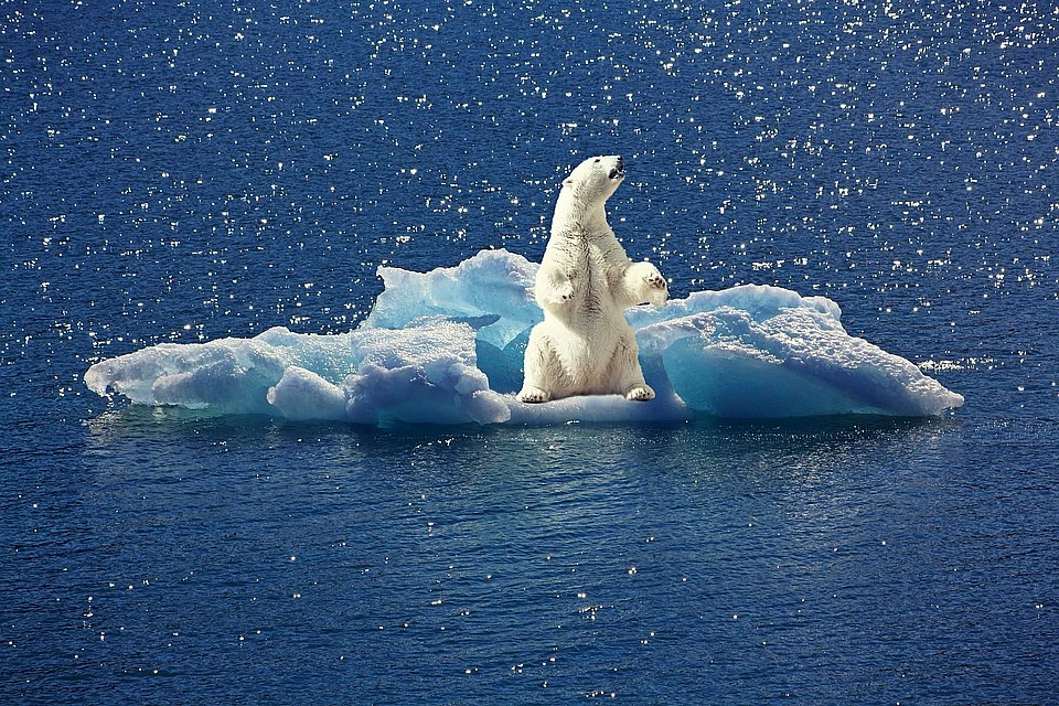 Ocean Warming