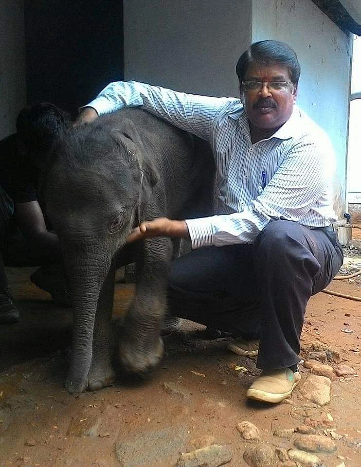 அசோகன்