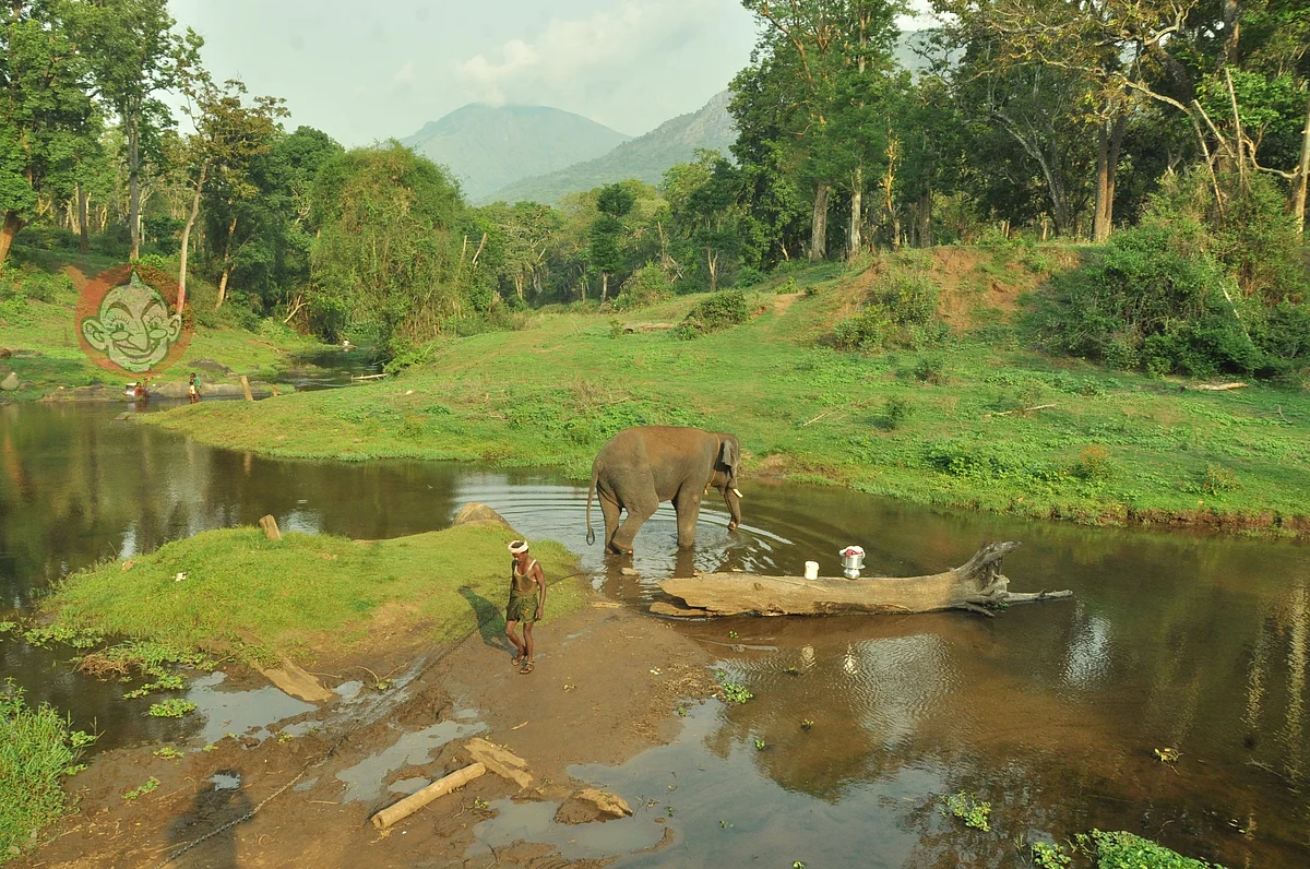 Kumki