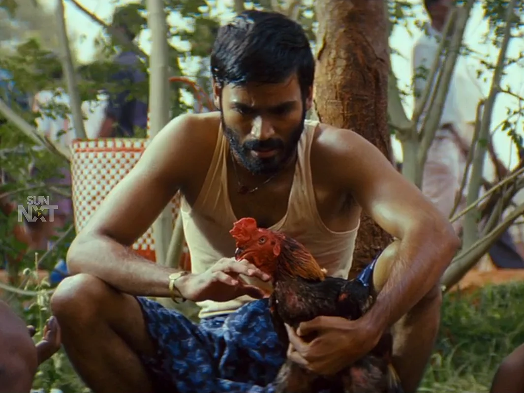 `ஆடுகளம்' படத்தின் வில்லன் தனுஷ்தான்... ஏன் தெரியுமா?! - வெற்றிமாறனும் மாறாத வெற்றியும்! - பகுதி -3