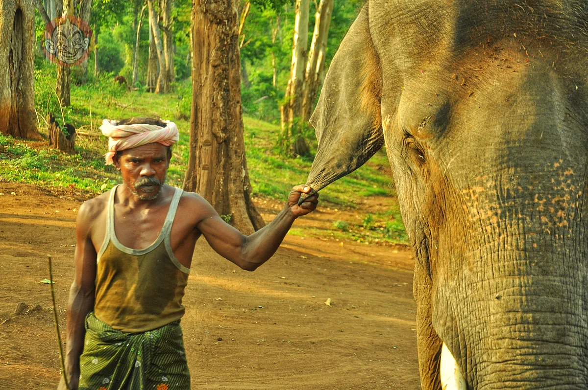 Kumki