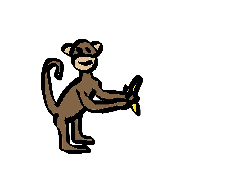 monkey