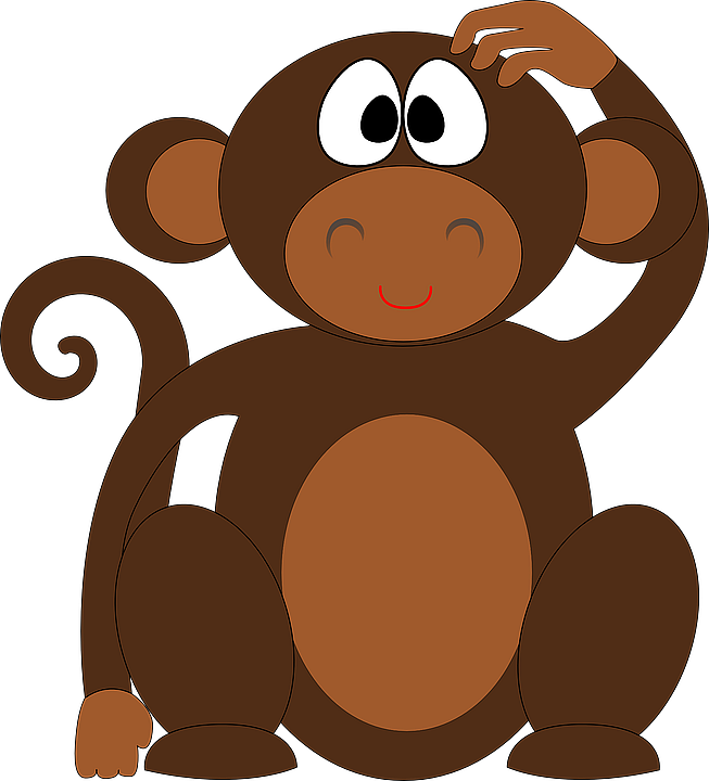 monkey