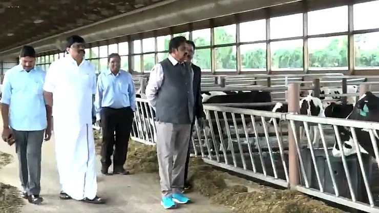 மாட்டுப் பண்ணையில் முதல்வர்