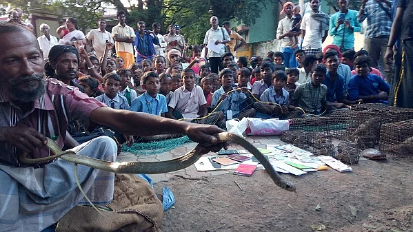 பாம்புடன் முற்றுகை