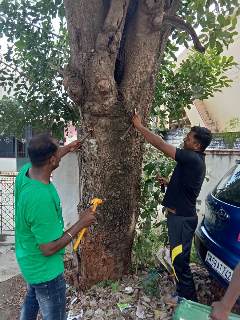 தன்னார்வலர்கள்