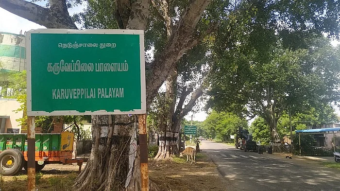 கருவேப்பிலை பாளையம்