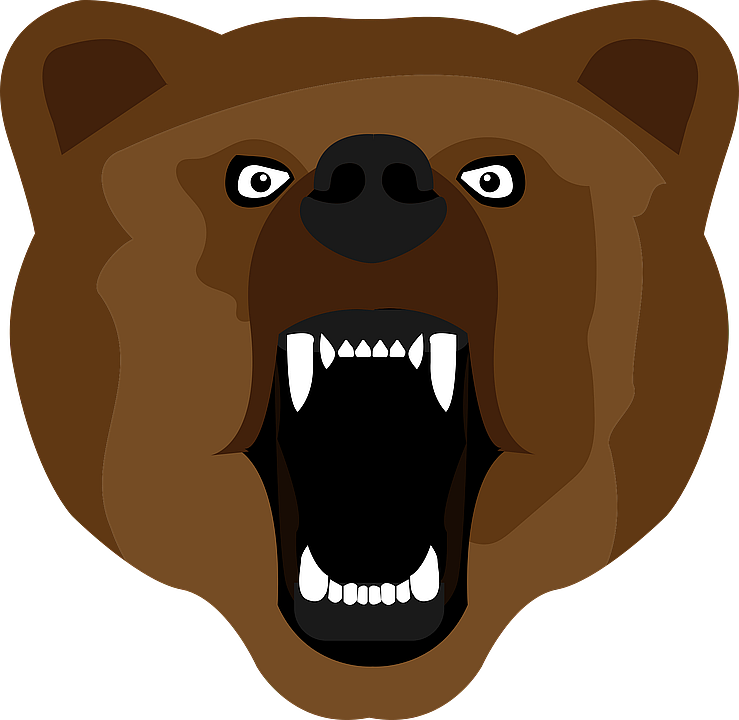 bear
