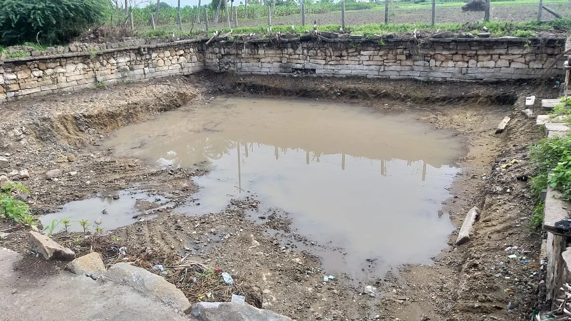 மழைநீர் தேங்கிய தெப்பக்குளம்