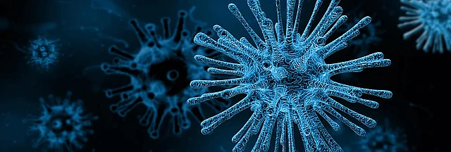 corona virus