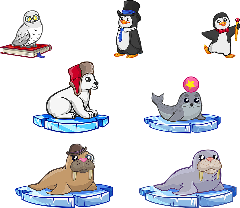 animals