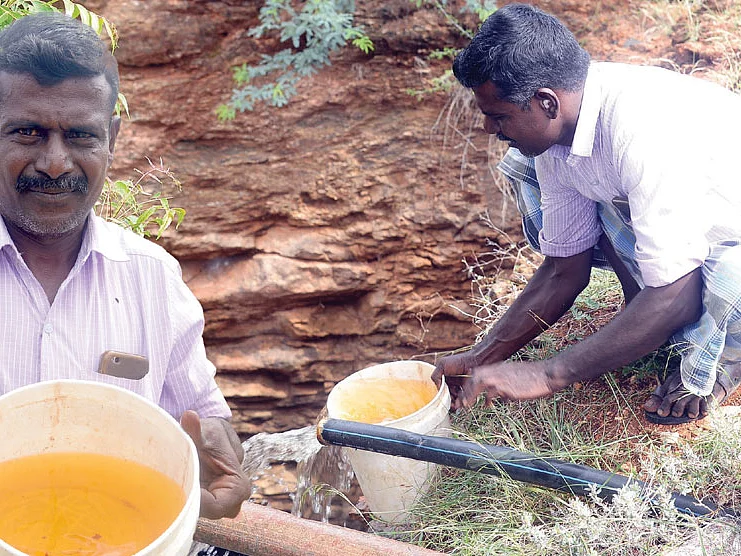 இப்போது கெட்டுப்போனது நிலத்தடிநீர் மட்டுமே...
விரைவில் வைகை அணைக்கும் ஆபத்து!