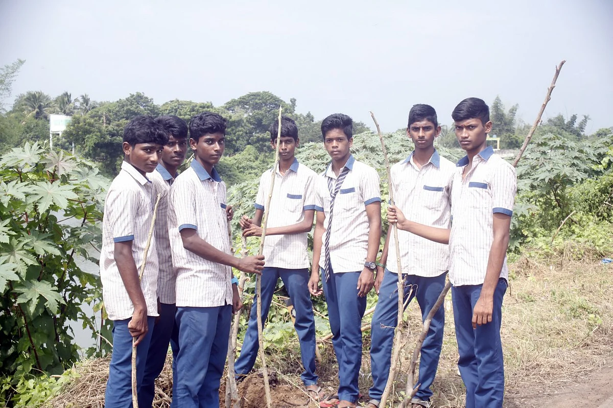 போத்து நடவு செய்யும் மாணவர்கள்