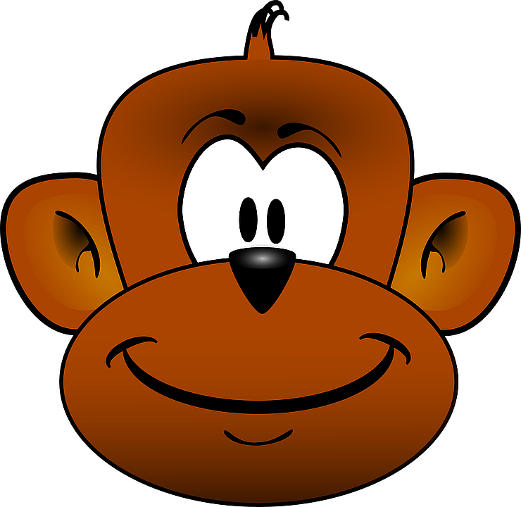 monkey